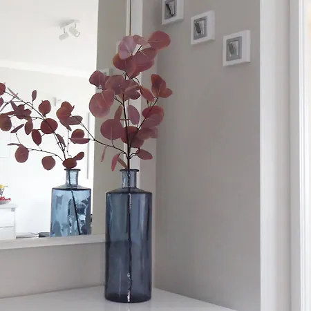 Rooftop * トロギール